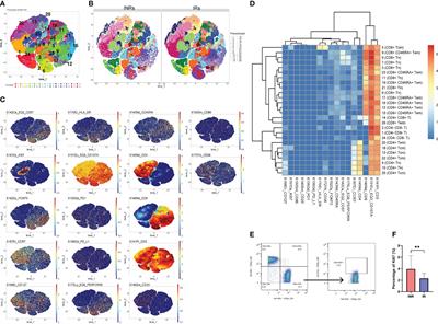 Pathological proliferation: a potential mechanism for poor CD4+ T cell recovery in people living with HIV